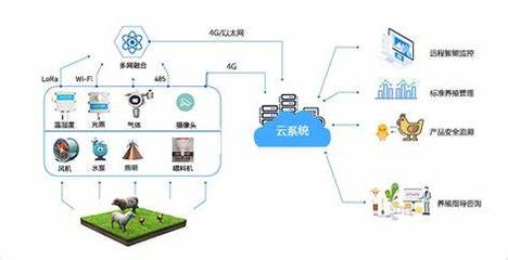 黃辰 以科技賦能智慧農(nóng)業(yè)，做新時(shí)代的農(nóng)業(yè)追夢(mèng)人
